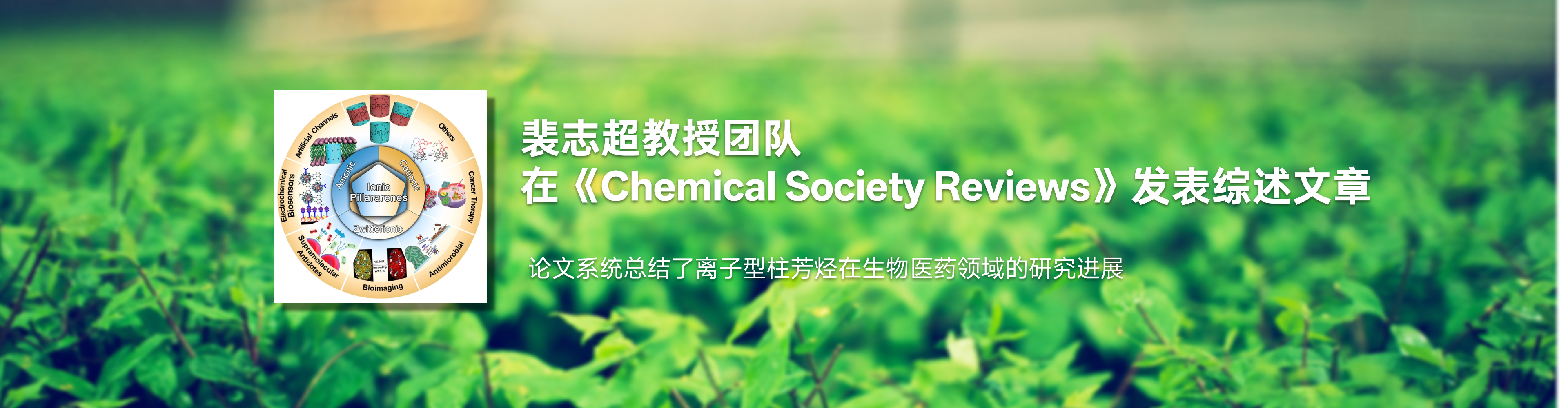 化药海棠书屋
裴志超教授团队在《Chemical Society Reviews》发表综述文章